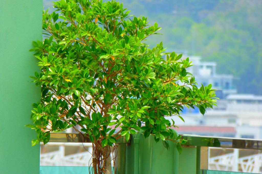 Add Plus Hotel&Spa Patong Extérieur photo